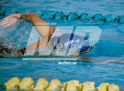 Thumbnail 2 in AIA D2 Swim Finals photogallery.
