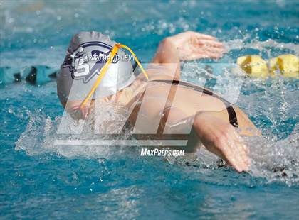 Thumbnail 1 in AIA D2 Swim Finals photogallery.