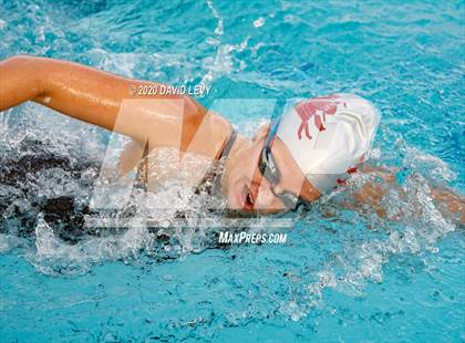 Thumbnail 2 in AIA D2 Swim Finals photogallery.