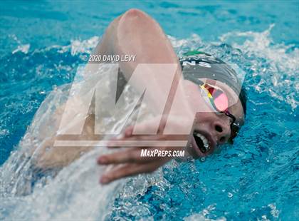 Thumbnail 1 in AIA D2 Swim Finals photogallery.