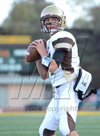 Thumbnail 3 in Serra @ Patrick Henry photogallery.