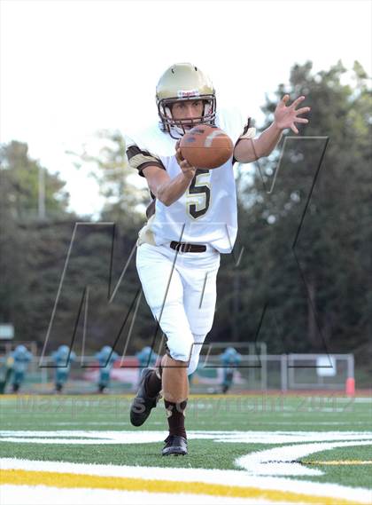 Thumbnail 3 in Serra @ Patrick Henry photogallery.