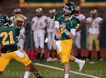 Thumbnail 3 in Serra @ Patrick Henry photogallery.
