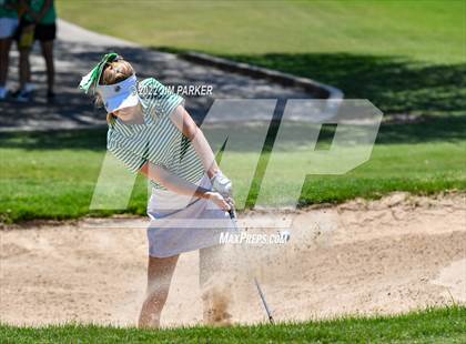 Thumbnail 2 in UIL 5A State Championship photogallery.