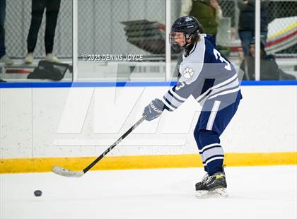 Thumbnail 1 in Brighton @ Penfield photogallery.