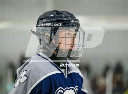 Thumbnail 3 in Brighton @ Penfield photogallery.