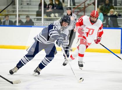 Thumbnail 3 in Brighton @ Penfield photogallery.