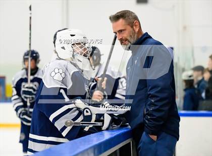 Thumbnail 3 in Brighton @ Penfield photogallery.