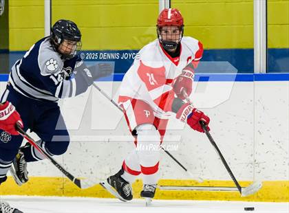 Thumbnail 2 in Brighton @ Penfield photogallery.