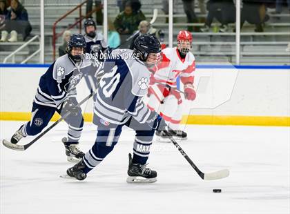 Thumbnail 3 in Brighton @ Penfield photogallery.