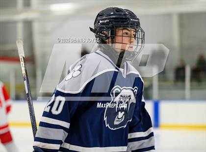 Thumbnail 2 in Brighton @ Penfield photogallery.