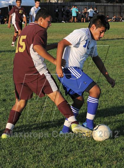 Thumbnail 2 in Florin @ Valley photogallery.