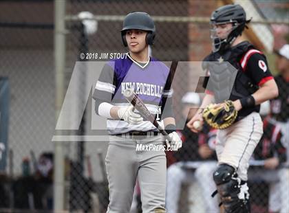 Thumbnail 2 in New Rochelle @ Fox Lane photogallery.