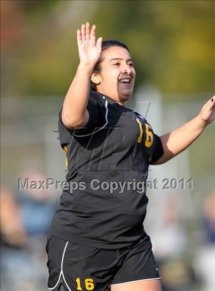 Thumbnail 1 in Nanuet @ Pearl River photogallery.