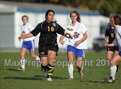 Thumbnail 1 in Nanuet @ Pearl River photogallery.