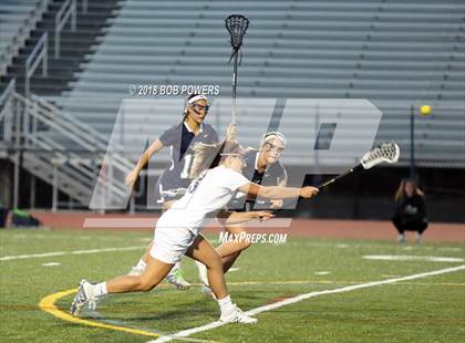 Thumbnail 3 in South County @ West Springfield photogallery.