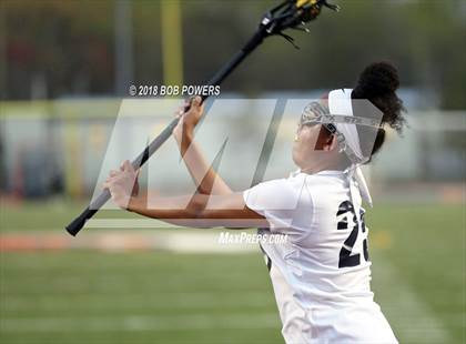 Thumbnail 3 in South County @ West Springfield photogallery.