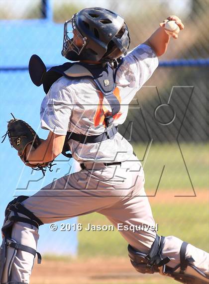 Thumbnail 1 in California vs. Los Altos photogallery.