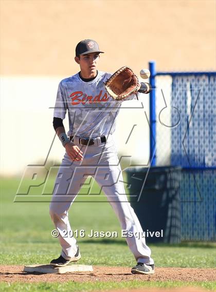 Thumbnail 1 in California vs. Los Altos photogallery.