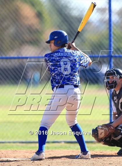 Thumbnail 3 in California vs. Los Altos photogallery.
