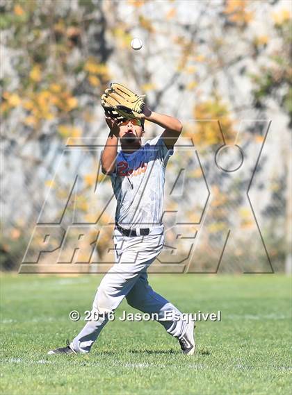 Thumbnail 1 in California vs. Los Altos photogallery.