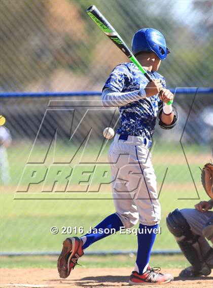 Thumbnail 1 in California vs. Los Altos photogallery.