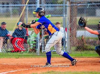 Thumbnail 3 in Richlands @ Havelock photogallery.