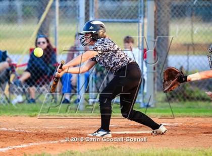 Thumbnail 1 in Richlands @ Havelock photogallery.