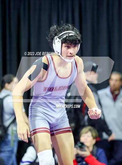 Thumbnail 2 in CIF State Championships (Boy's Consolation Pig Tail Round) photogallery.