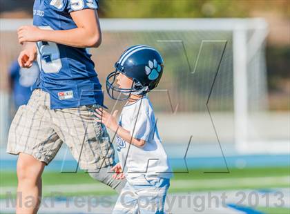 Thumbnail 1 in Analy @ Marin Catholic (CIF NCS D3 Playoff) photogallery.