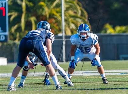Thumbnail 3 in Analy @ Marin Catholic (CIF NCS D3 Playoff) photogallery.