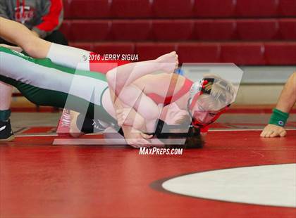 Thumbnail 3 in Antelope photogallery.