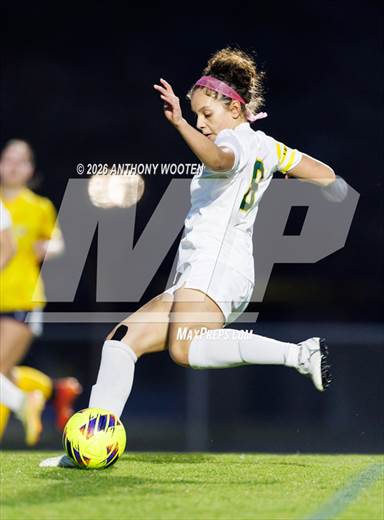 Pine Forest @ Cape Fear