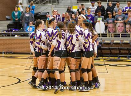 Thumbnail 1 in Farmersville vs. Edgewood photogallery.