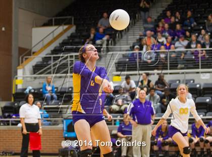 Thumbnail 1 in Farmersville vs. Edgewood photogallery.