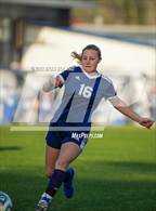 Photo from the gallery "Theodore @ Baker"