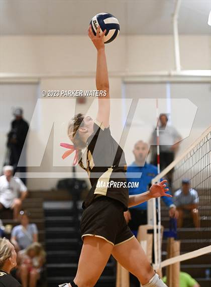 Thumbnail 3 in Metairie Park Country Day @ Mount Carmel Academy photogallery.