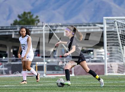 Thumbnail 1 in Alemany @ Golden Valley photogallery.