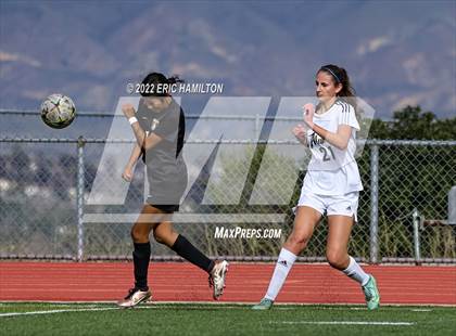 Thumbnail 3 in Alemany @ Golden Valley photogallery.