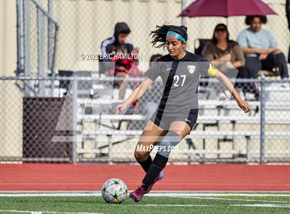 Thumbnail 1 in Alemany @ Golden Valley photogallery.