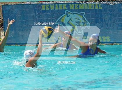 Thumbnail 3 in Castro Valley @ Newark Memorial (Labor Day Bash) photogallery.