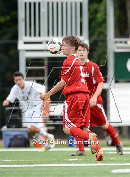 Thumbnail 1 in Hinsdale Central @ Glenbard West photogallery.
