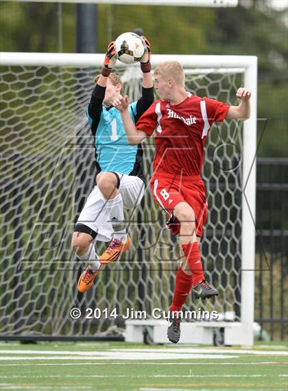 Thumbnail 1 in Hinsdale Central @ Glenbard West photogallery.