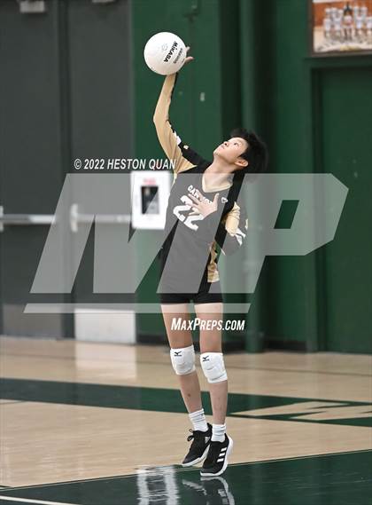 Thumbnail 1 in Canyon @ Brea Olinda photogallery.