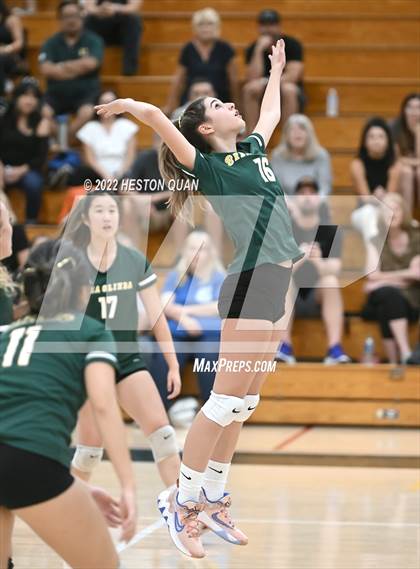 Thumbnail 1 in Canyon @ Brea Olinda photogallery.