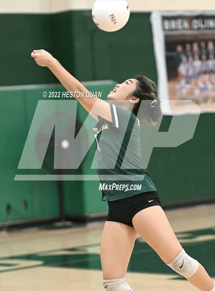 Thumbnail 3 in Canyon @ Brea Olinda photogallery.