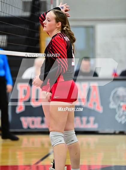Thumbnail 3 in Littleton @ Pomona photogallery.