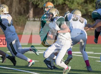 Thumbnail 3 in Timberline at Tumwater photogallery.