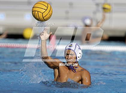 Thumbnail 3 in Pacifica @ El Modena photogallery.