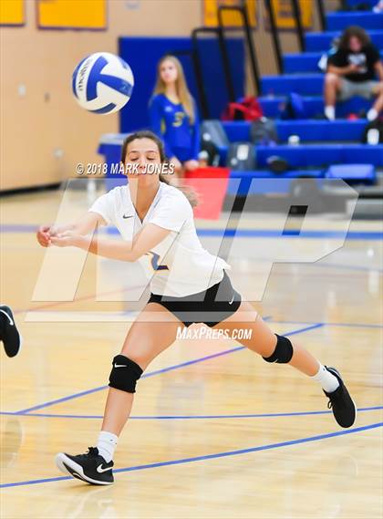 Thumbnail 1 in Cactus @ Buckeye photogallery.